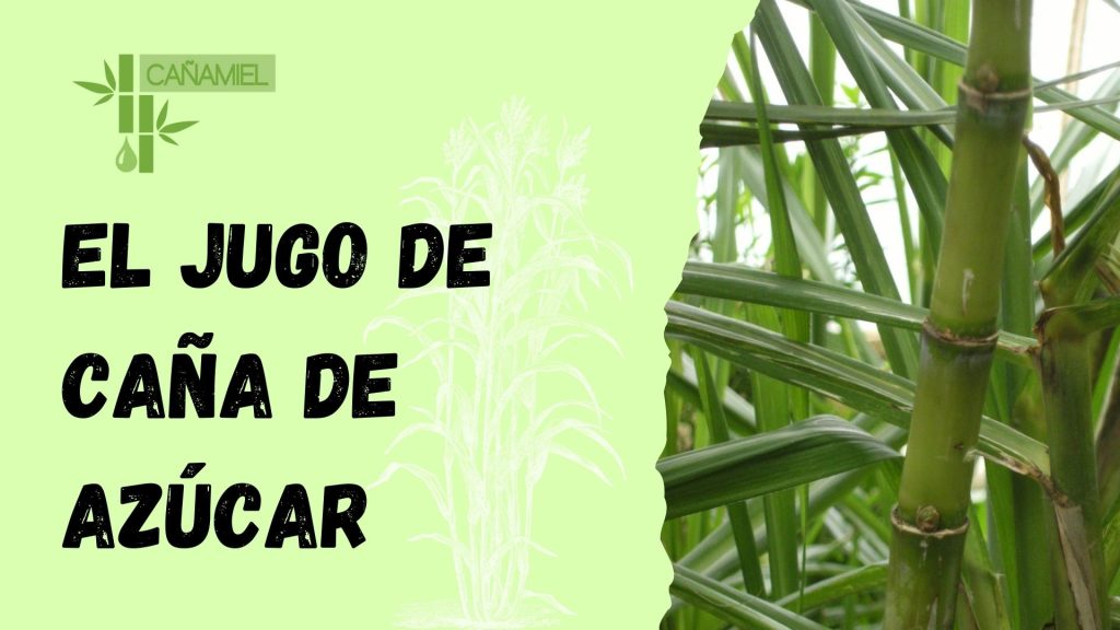 jugo de caña de azúcar