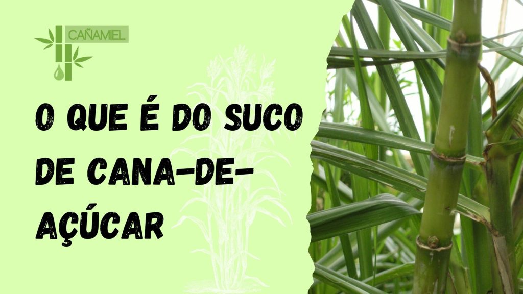 suco de cana de açúcar