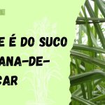 suco de cana de açúcar