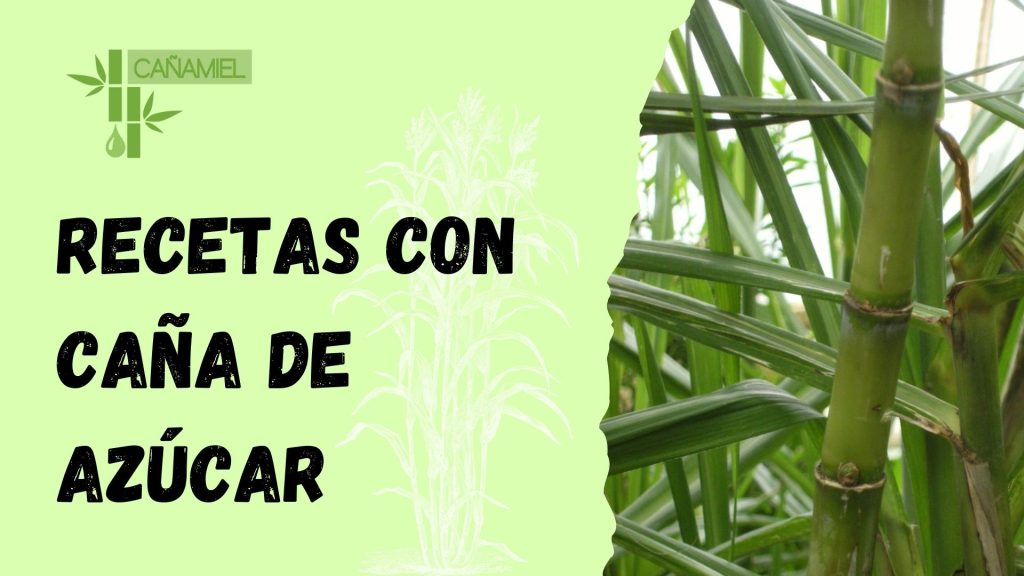 recetas con caña de azúcar