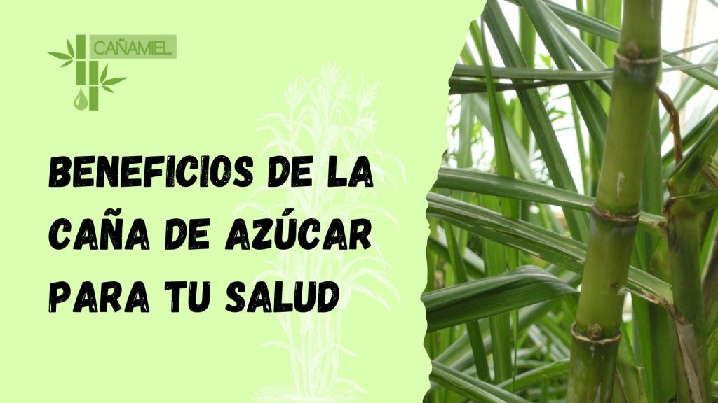 beneficios de la caña de azúcar